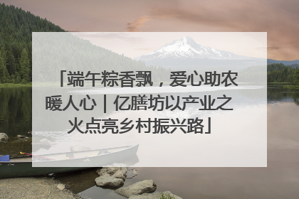 端午粽香飘，爱心助农暖人心｜亿膳坊以产业之火点亮乡村振兴路