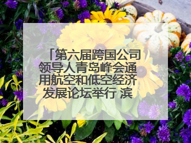第六届跨国公司领导人青岛峰会通用航空和低空经济发展论坛举行 滨州市全方位推介低空经济发展优势