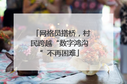 网格员搭桥，村民跨越“数字鸿沟”不再困难