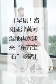 罕见！洛阳孟津黄河湿地再次迎来“东方宝石”彩鹮