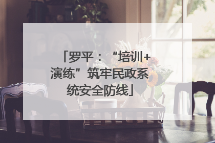 罗平：“培训+演练”筑牢民政系统安全防线