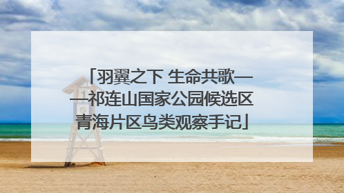 羽翼之下 生命共歌——祁连山国家公园候选区青海片区鸟类观察手记