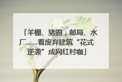 羊棚、猪圈，邮局、水厂……看废弃建筑“花式逆袭”成网红村咖