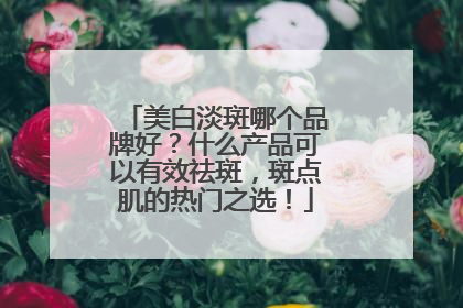 美白淡斑哪个品牌好？什么产品可以有效祛斑，斑点肌的热门之选！
