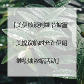 美伊核谈判细节披露：美提议临时允许伊朗继续铀浓缩活动