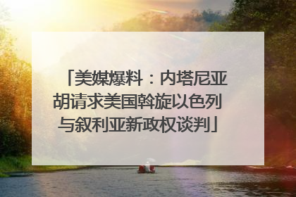 美媒爆料：内塔尼亚胡请求美国斡旋以色列与叙利亚新政权谈判