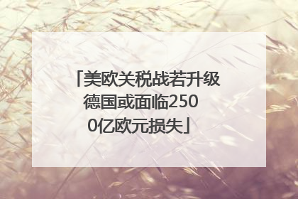 美欧关税战若升级 德国或面临2500亿欧元损失