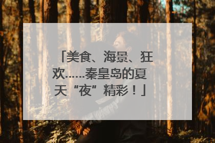 美食、海景、狂欢……秦皇岛的夏天“夜”精彩！