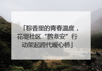 粽香里的青春温度，花堤社区“鹤耋安”行动架起跨代暖心桥