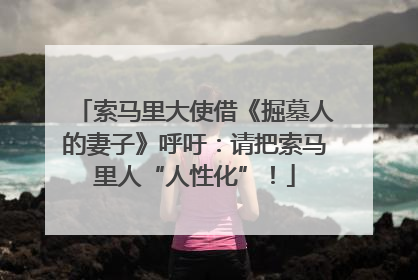 索马里大使借《掘墓人的妻子》呼吁：请把索马里人“人性化”！