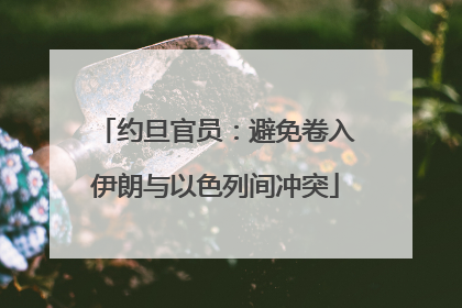 约旦官员：避免卷入伊朗与以色列间冲突
