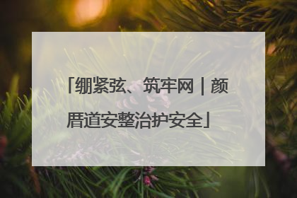 绷紧弦、筑牢网｜颜厝道安整治护安全