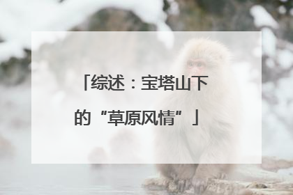 综述：宝塔山下的“草原风情”