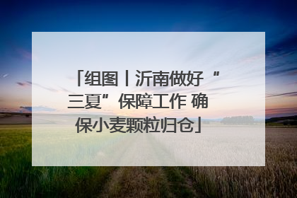 组图丨沂南做好“三夏”保障工作 确保小麦颗粒归仓
