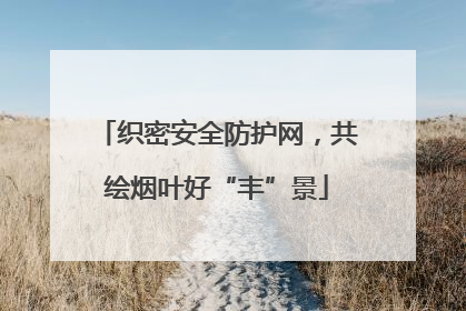 织密安全防护网，共绘烟叶好“丰”景