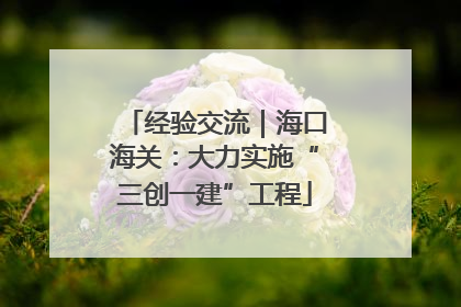 经验交流｜海口海关：大力实施“三创一建”工程