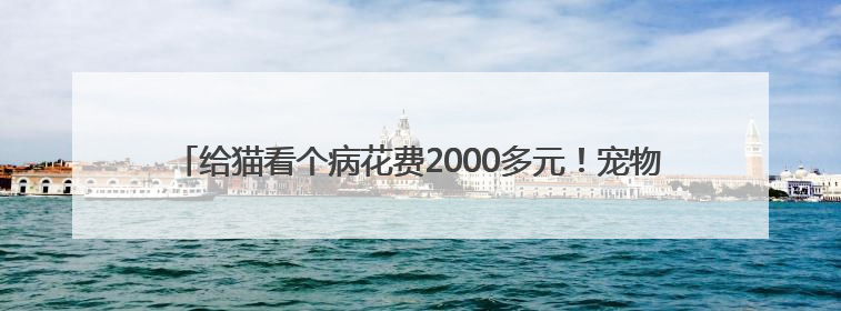 给猫看个病花费2000多元！宠物医疗行业存在乱象，业内人士呼吁→
