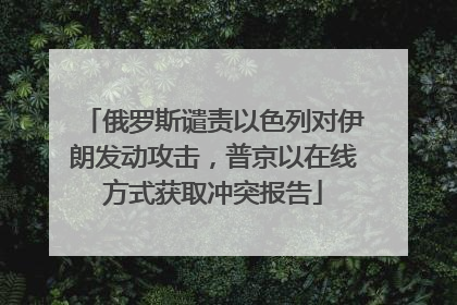 俄罗斯谴责以色列对伊朗发动攻击，普京以在线方式获取冲突报告