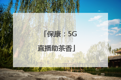 保康：5G直播助茶香
