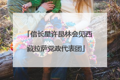 信长星许昆林会见西藏拉萨党政代表团