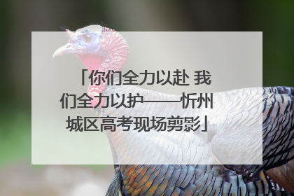 你们全力以赴 我们全力以护——忻州城区高考现场剪影