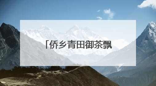 侨乡青田御茶飘香西班牙 架起中西文化交流桥梁