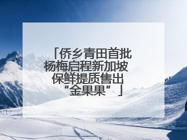 侨乡青田首批杨梅启程新加坡 保鲜提质售出“金果果”