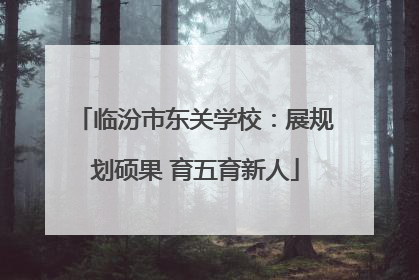 临汾市东关学校：展规划硕果 育五育新人