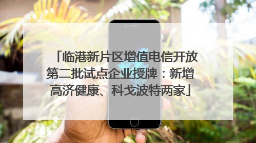 临港新片区增值电信开放第二批试点企业授牌：新增高济健康、科戈波特两家