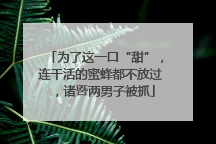 为了这一口“甜”，连干活的蜜蜂都不放过，诸暨两男子被抓