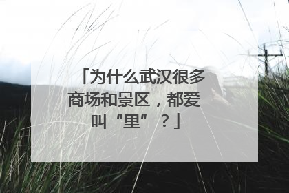 为什么武汉很多商场和景区，都爱叫“里”？