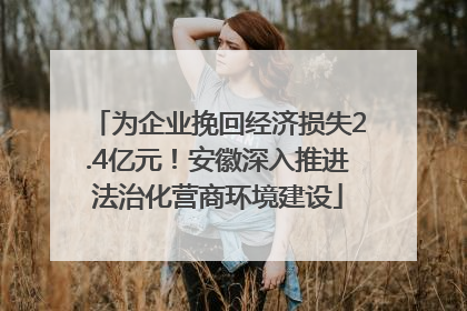 为企业挽回经济损失2.4亿元！安徽深入推进法治化营商环境建设