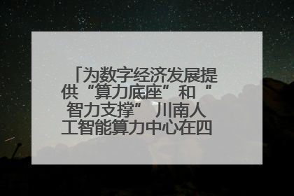为数字经济发展提供“算力底座”和“智力支撑” 川南人工智能算力中心在四川泸州启动