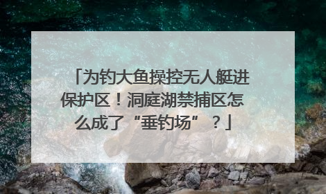 为钓大鱼操控无人艇进保护区！洞庭湖禁捕区怎么成了“垂钓场”？