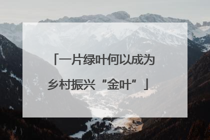 一片绿叶何以成为乡村振兴“金叶”