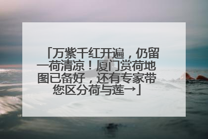万紫千红开遍，仍留一荷清凉！厦门赏荷地图已备好，还有专家带您区分荷与莲→
