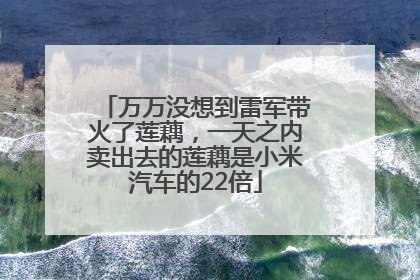 万万没想到雷军带火了莲藕，一天之内卖出去的莲藕是小米汽车的22倍