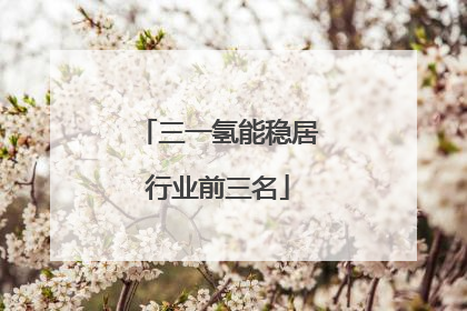 三一氢能稳居行业前三名
