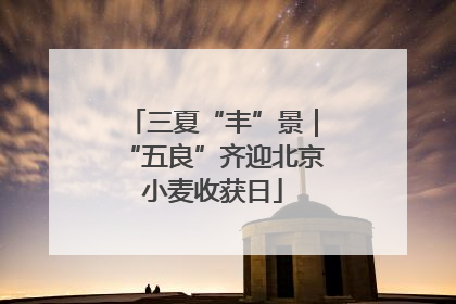 三夏“丰”景｜“五良”齐迎北京小麦收获日