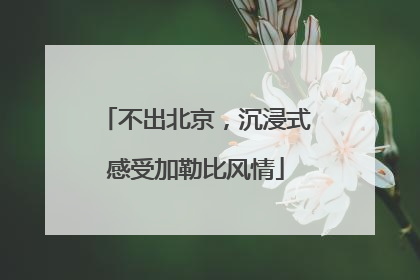 不出北京，沉浸式感受加勒比风情