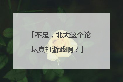 不是，北大这个论坛真打游戏啊？