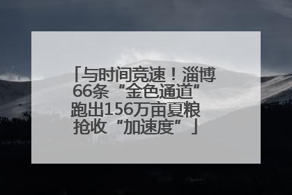 与时间竞速！淄博66条“金色通道”跑出156万亩夏粮抢收“加速度”