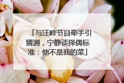 与汪峰节目牵手引猜测，宁静谈择偶标准：他不是我的菜