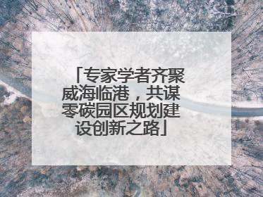 专家学者齐聚威海临港，共谋零碳园区规划建设创新之路