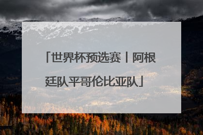世界杯预选赛丨阿根廷队平哥伦比亚队