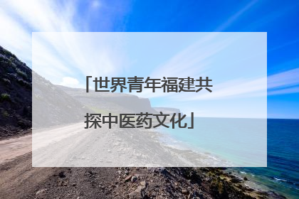 世界青年福建共探中医药文化