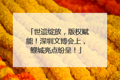 世遗绽放，版权赋能！深圳文博会上，鲤城亮点纷呈！