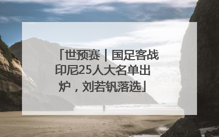 世预赛｜国足客战印尼25人大名单出炉，刘若钒落选