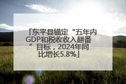 东平县锚定“五年内GDP和税收收入翻番”目标，2024年同比增长5.8%