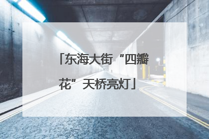 东海大街“四瓣花”天桥亮灯